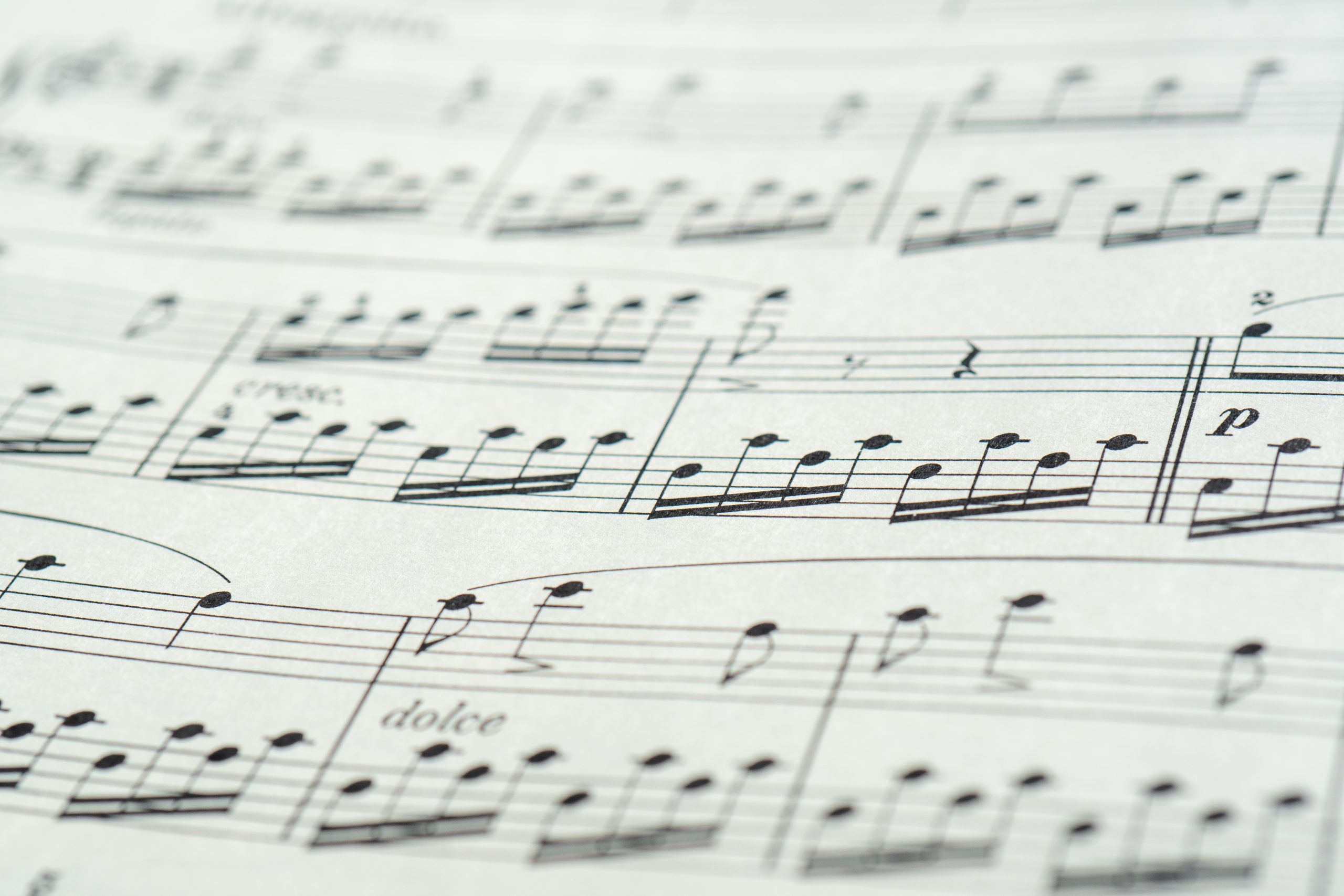 音大卒の現役プロ講師によるオンラインレッスンで音大受験対策！/オンライン音楽教室「オルコネ」